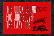 Rondack SVG - Ultra Condensed Font, a Handwritten Font by Surplus Type Co (Thumbnail 7 of 10)