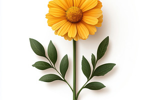 Single yellow flower with green leav, an Abstract Photo by Pixeness Studio