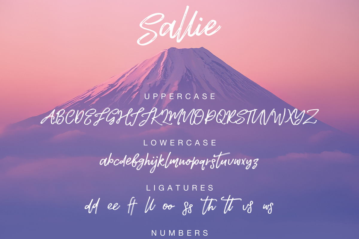 Sallie font preview 6
