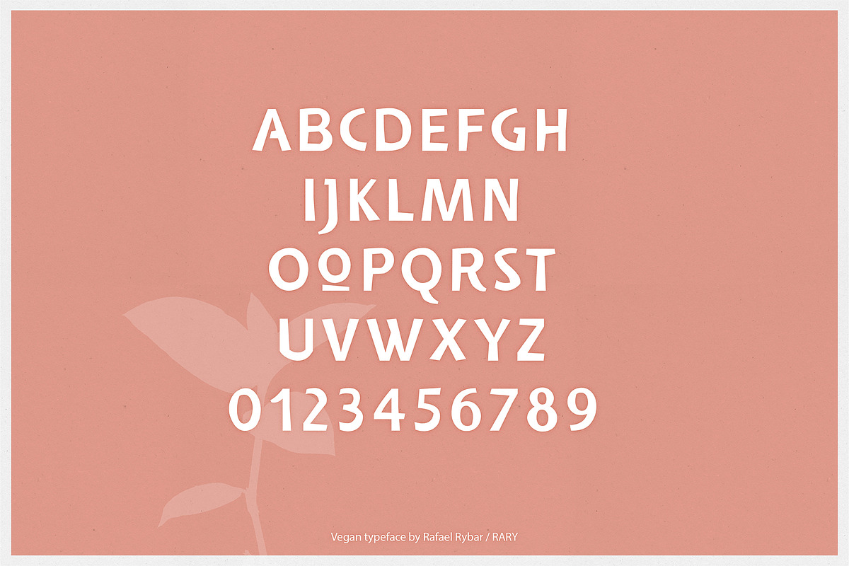 Vegan | sans serif display font preview 2