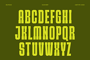 Belfrage - Slab Serif Font, a Slab Serif Font by limitype (Thumbnail 6 of 10)