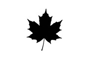 Maple Leaf Silhouette Bundle, a Graphic by musafir_fashion (Thumbnail 2 of 10)