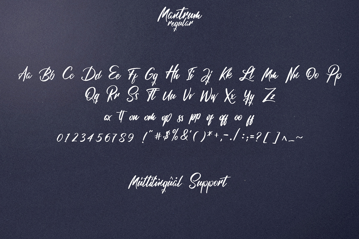 Mantrum - Urban script | 3 styles preview 8