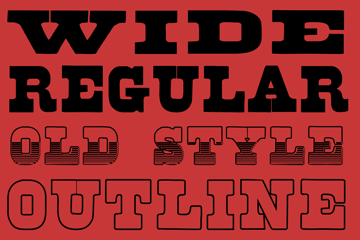 Brute Aldine, a Serif Font by Intellecta Design (Photo 3 of 7)