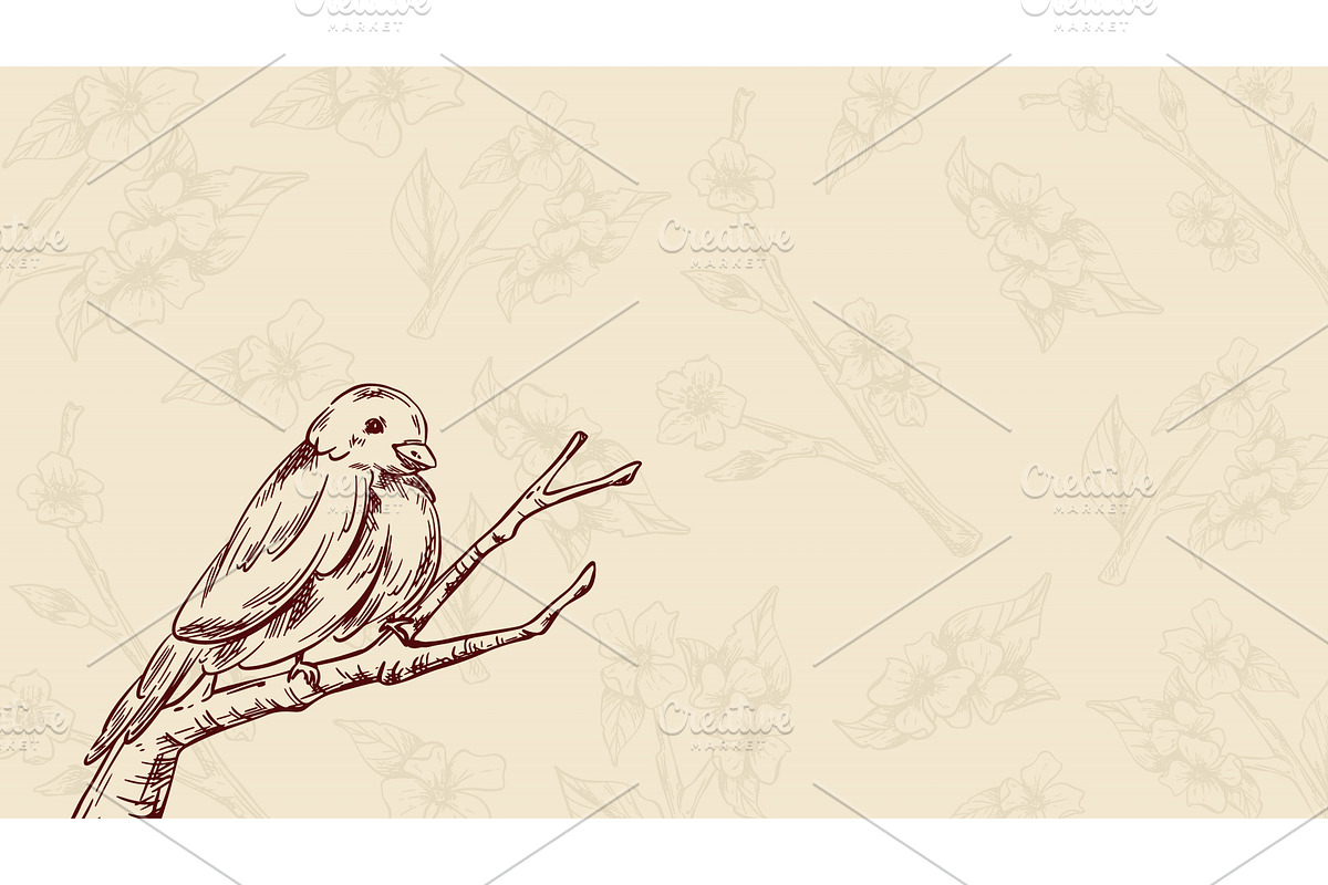 Sketch bird perched on tree branch, an Object Illustration by art PVP - market