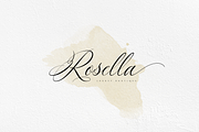 Silenter / Modern Calligraphy Font, a Script Font by Bluestudio (Thumbnail 6 of 9)