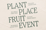 CS Melisa – Elegant Font, a Serif Font by Craft Supply Co. (Thumbnail 4 of 8)