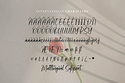 Aksarantti, a Script Font by Integritype Studio (Thumbnail 10 of 15)