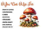 Woodland Clipart – Big Bundle, a Seasonal Illustration by CreationArt (Thumbnail 5 of 7)