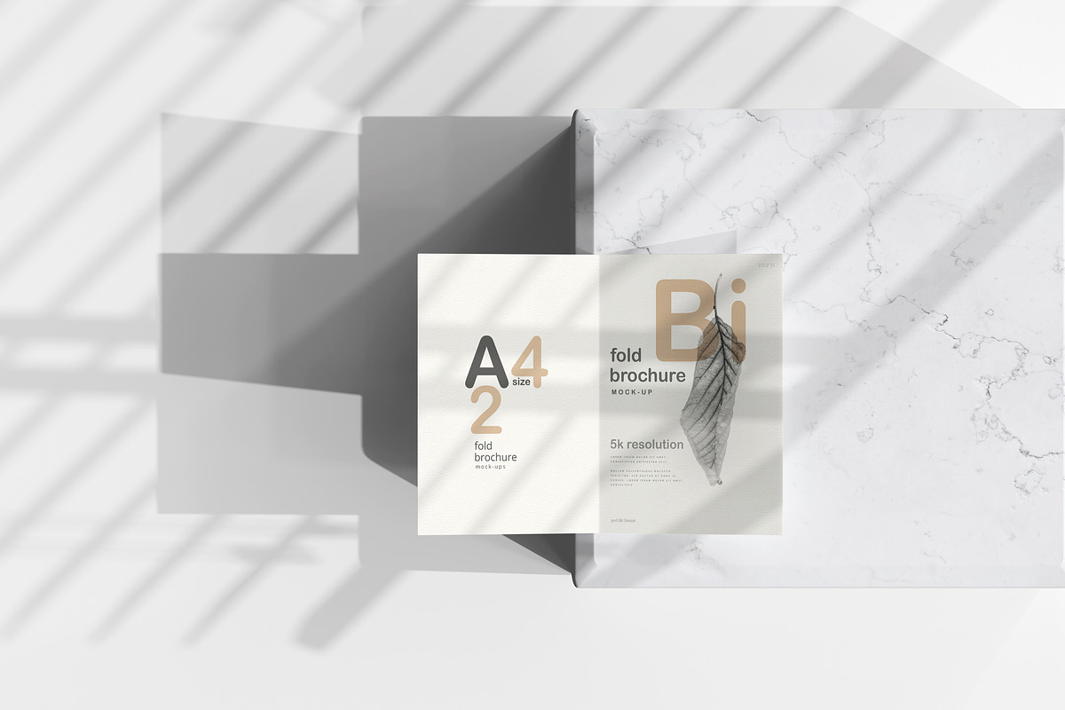 A4 Size Bi-Fold Brochure Mockup, a Print Template by pmvch (Photo 1 of 20)