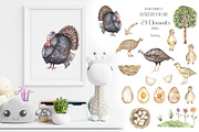 Life Cycle Watercolor Collection, an Education Illustration by MayaNavits (Thumbnail 10 of 12)