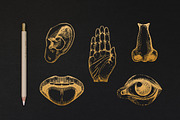 Five Human Senses Vintage Collection, an Object Illustration by Chewie Co (Thumbnail 8 of 8)