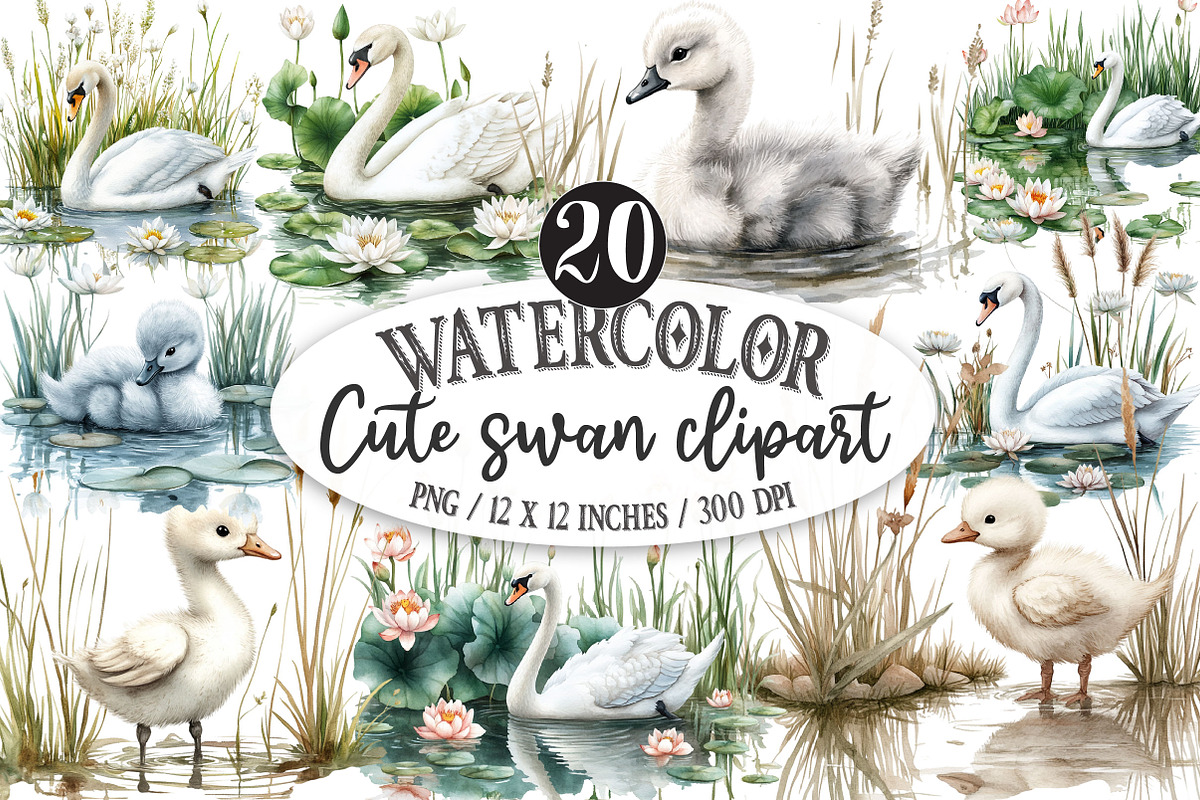 Watercolor Cute swan clipart, a Seasonal Illustration by Designking (Photo 1 of 4)