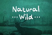 Deschamber, a Script Font by Letterature Std. (Thumbnail 5 of 7)