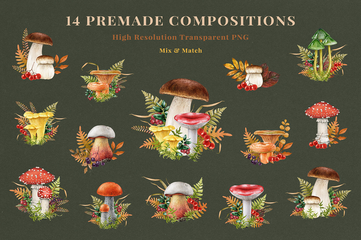 Fall Mushrooms Watercolor Clipart, a Seasonal Illustration by AnitaPol (Photo 6 of 20)