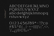 Gritlen, a Serif Font by OWL KING (Thumbnail 4 of 8)