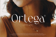 La Orleans, a Sans Serif Font by Genetype (Thumbnail 7 of 8)