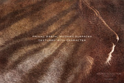 Vestige · Primal Earth Backgrounds, a Background Graphic by alonahaidash (Thumbnail 4 of 16)
