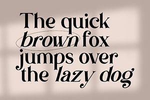 Brown Falco Classy Serif Font