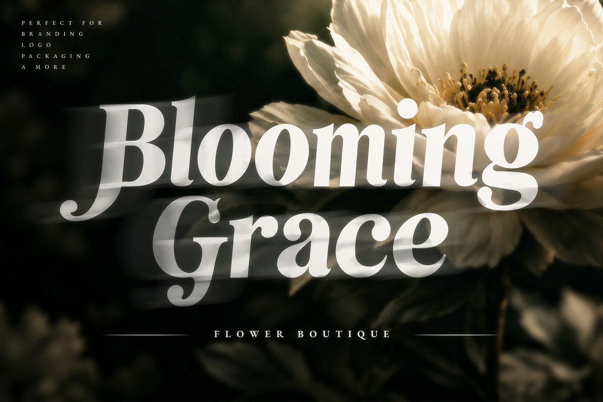 Thamara Classic - Elegant Serif Font, a Serif Font by Brainwave (Photo 2 of 8)