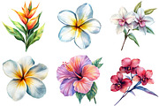 Tropical Watercolor Flower Bundle, an Illustration by Pixels.Craft (Thumbnail 5 of 8)
