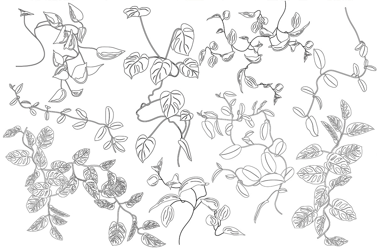Tropical greenery., a Decorative Illustration by Ligrenok Art (Photo 3 of 7)