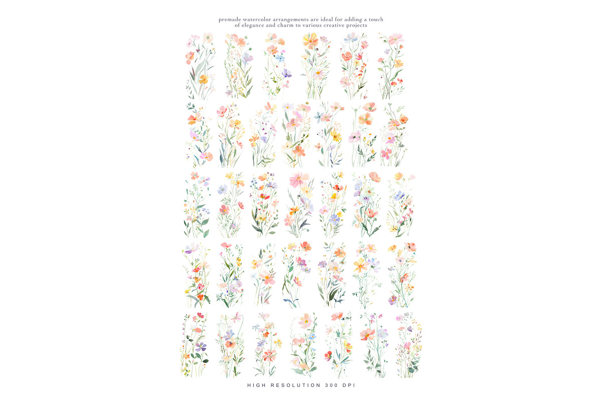 Watercolor Meadow Flower Clipart Set, a Decorative Illustration by Patishop Art (Photo 5 of 6)
