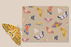 Delicate Butterfly Patterns