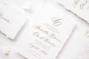 Saint Viet | Calligraphy Font, a Script Font by Calamar Studio (Thumbnail 4 of 29)