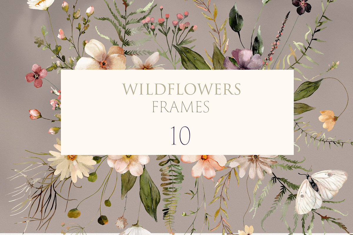 Wildflowers Watercolor Collection, a Decorative Illustration by Les Frolova (Photo 3 of 12)