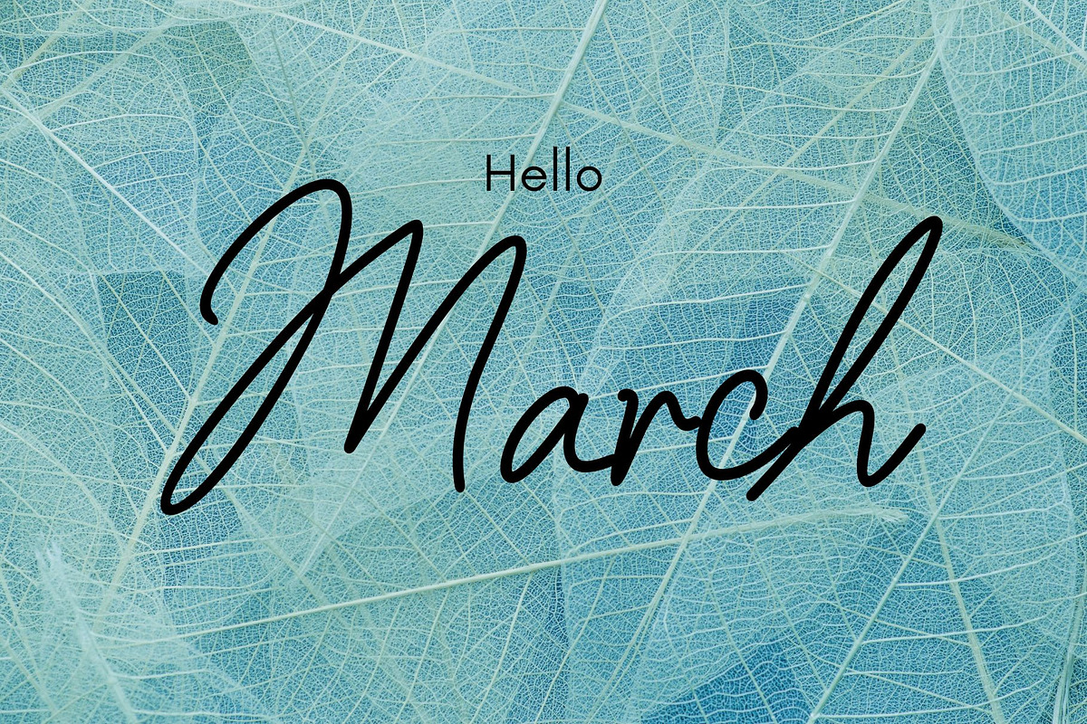 Seluca signature feminine font preview 2