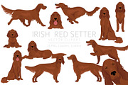 Irish Red Setter clipart, an Animal Illustration by pet design shop (Thumbnail 1 of 8)