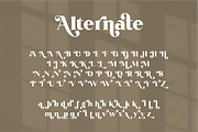Karlout, a Serif Font by RT Studio (Thumbnail 12 of 15)