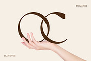 Elegant Beauty – Nogista Font, a Serif Font by Stylin Studio (Thumbnail 10 of 13)