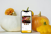 Plantaire – Food App Design Template, an App Template by productype1 (Thumbnail 5 of 5)