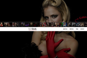 Nosaa Fullpage WordPress Theme