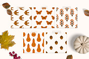 AUTUMN STORY Graphics Collection, an Animal Illustration by Katerina Osa (Thumbnail 7 of 15)