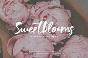 Soulshine Brush Script, a Font by Callie Rian & Co. (Thumbnail 2 of 15)
