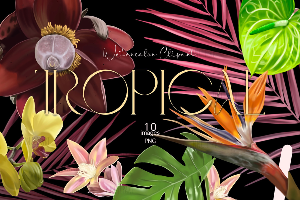 Wedding Tropical flower bundle, an Illustration by NNclipart (Photo 1 of 9)