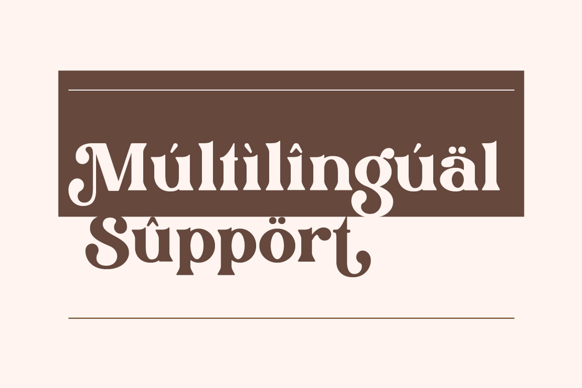 Drigha - Stylish Serif Font, a Serif Font by Typebae (Photo 10 of 11)