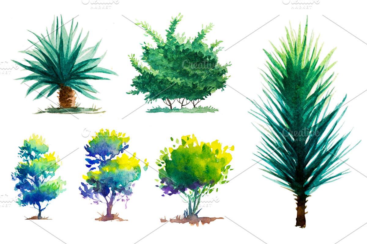 Watercolor Trees, an Illustration by AlexGreenArt (Photo 2 of 6)