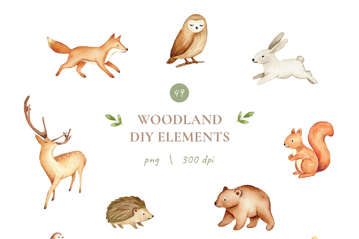 Woodland Watercolor Illustrations, an Animal Illustration by Liliia Polos Illustration (Photo 15 of 16)