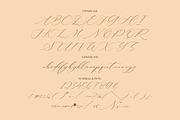 Patricia Rustine Luxury Script Font, a Script Font by Letterena Studios Script (Thumbnail 13 of 15)