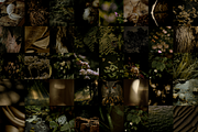 The Naturalist Social Media Bundle, a Social Media Template by The Flossy Finch (Thumbnail 19 of 22)