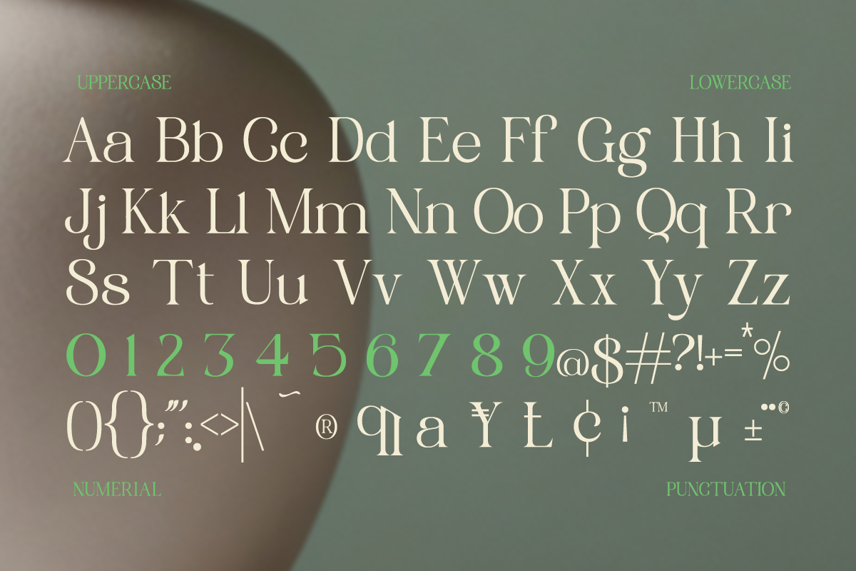 Rooyale - Minimal Modern Stylish, a Serif Font by Qweera Studio (Photo 12 of 12)