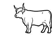 Rustic Highland cow wall art design, an Illustration by Amazin_art (Thumbnail 12 of 40)