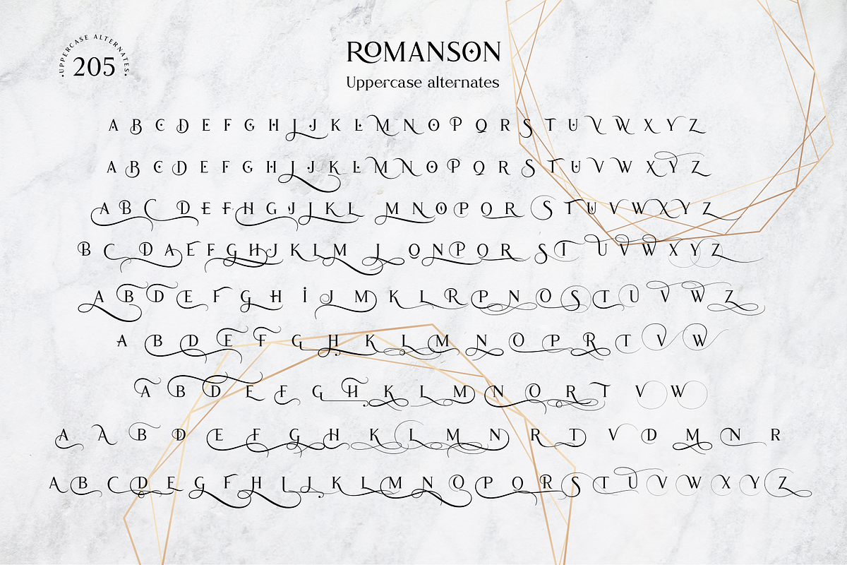 Romanson, a Serif Font by Larin Type Co. (Photo 14 of 14)