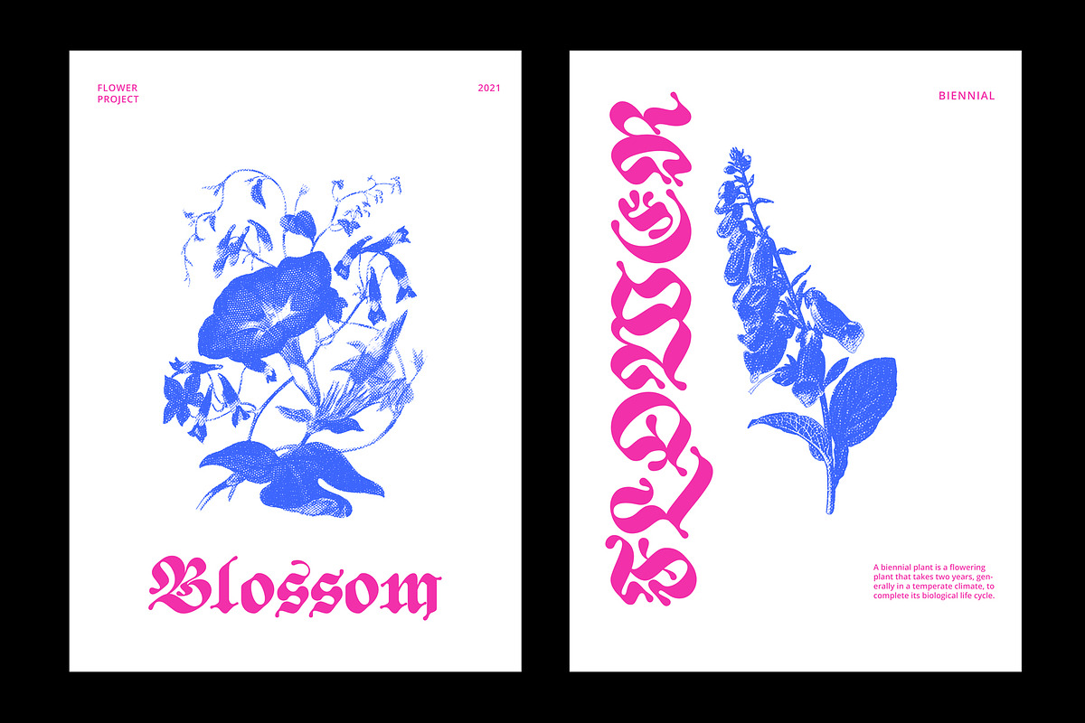 ED Begonia - Blackletter Typeface, a Blackletter Font by Emyself Design (Photo 5 of 12)