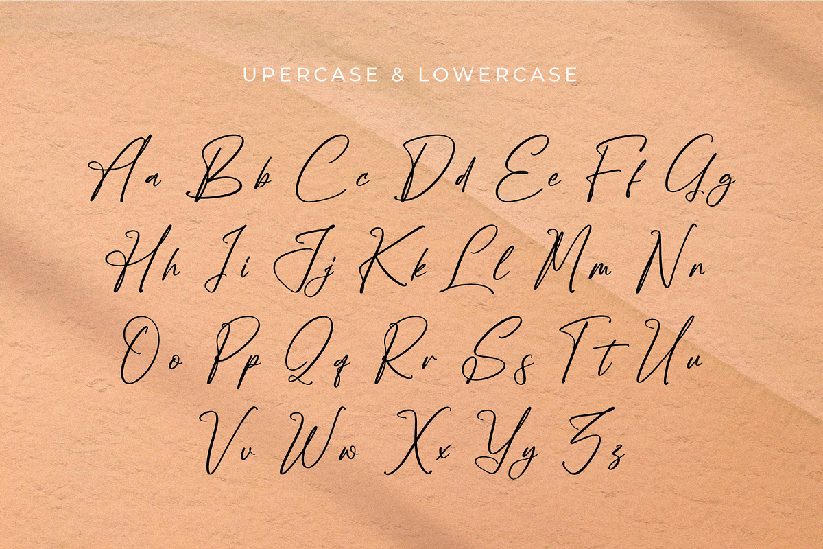 Poleemanik, a Script Font by Integritype Studio (Photo 9 of 15)
