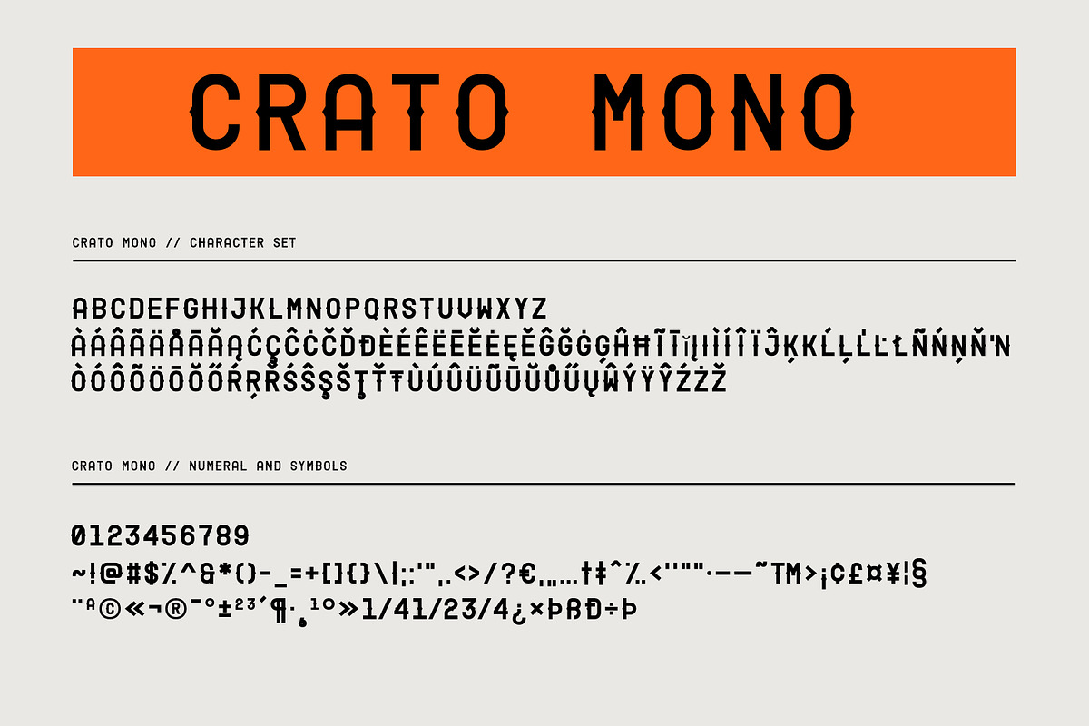 Crato Mono - Modern Monospaced Font, a Sans Serif Font by Graphicfresh (Photo 9 of 10)
